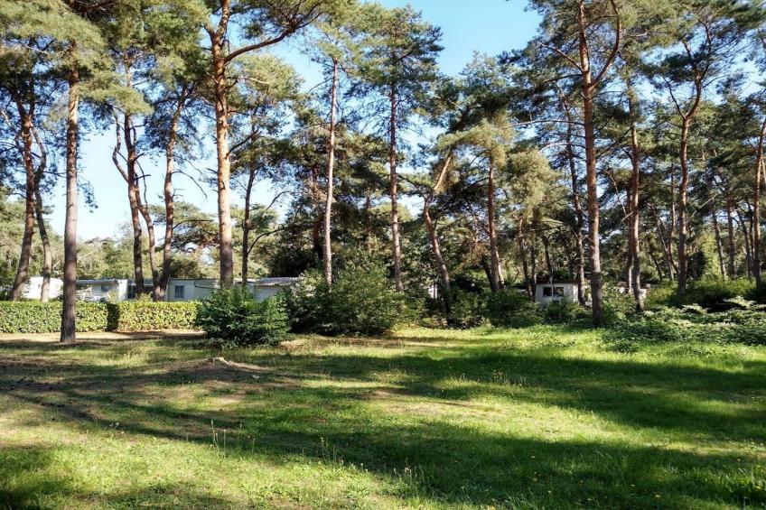 L'Ecureuil - foto 20