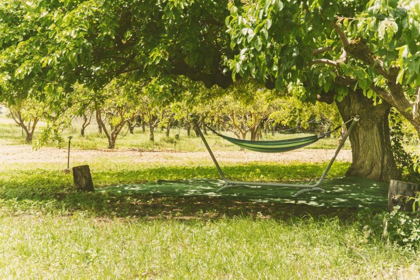 Villa 'delle Sterlizie' mit eigenem Pool - foto 22