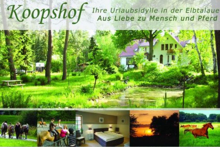 Große Ferienwohnung in Bleckede mit Großem Balkon - foto 29