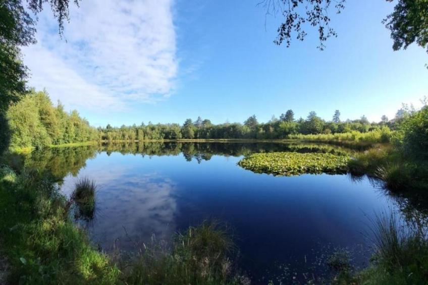 De Kibbelhoeve - foto 27