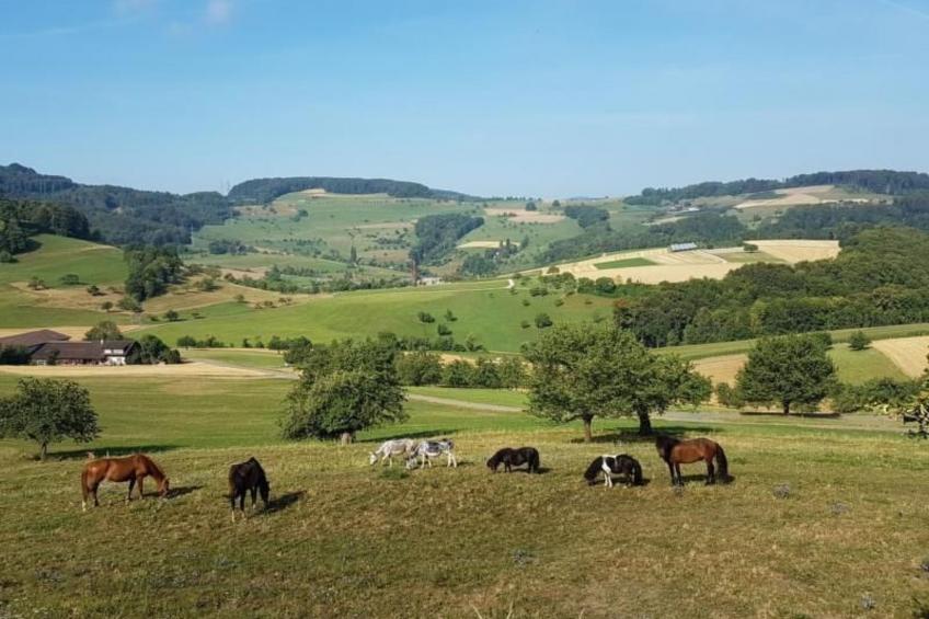 Chalet Staufenhof - foto 24