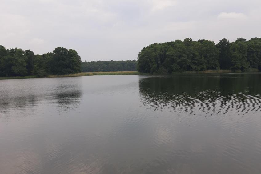 Vakantieresort Van der Valk, Linstow - Type C - foto 31