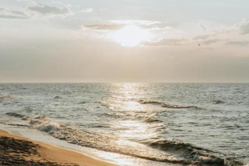 Domy wakacyjne i apartamenty w Niechorzu - foto 30