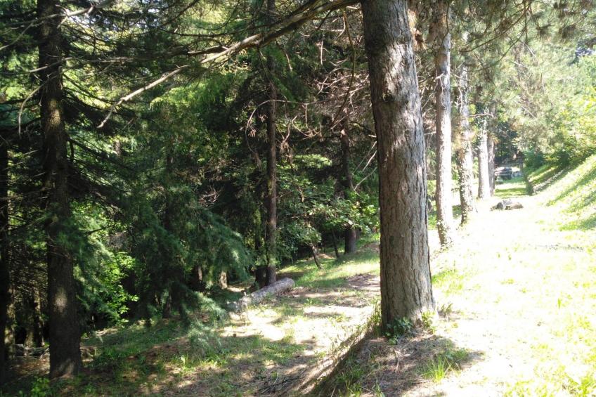 Haus "Badinot" mit privatem Garten und Grill - foto 18