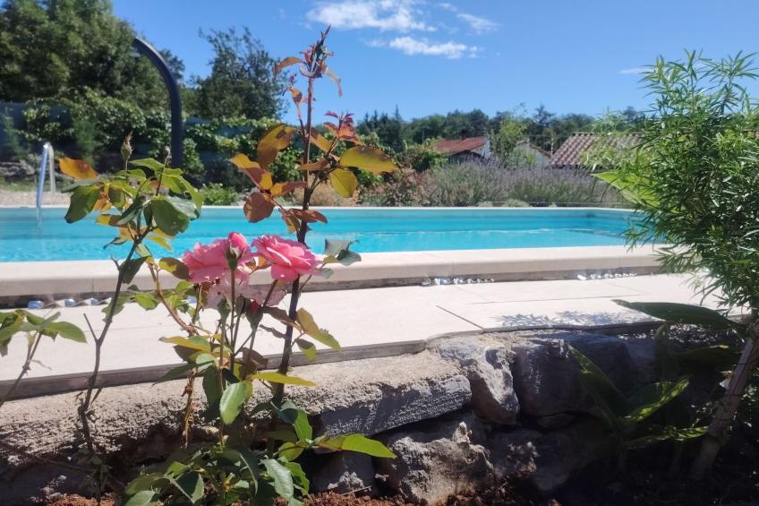 Villa Salvia - foto 43