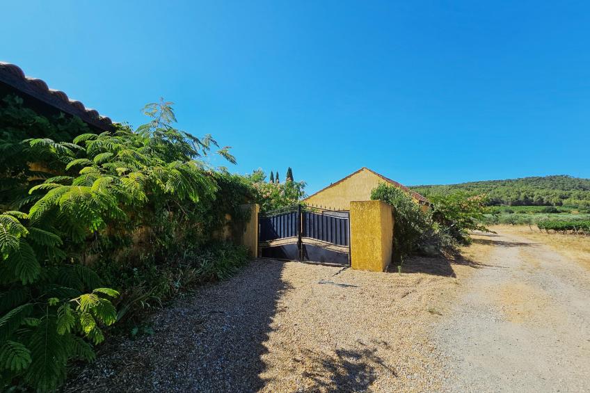 Belle Bize - foto 34