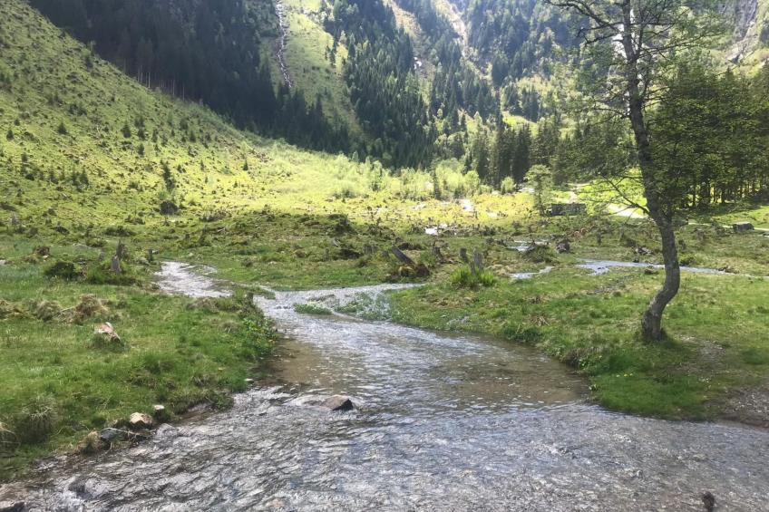 Bergchalet - foto 42