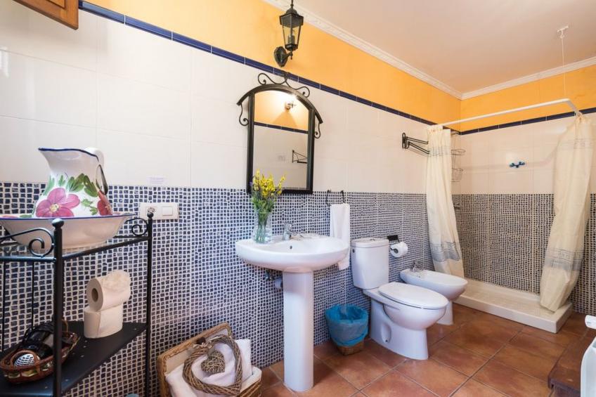 Finca mit Pool - foto 10