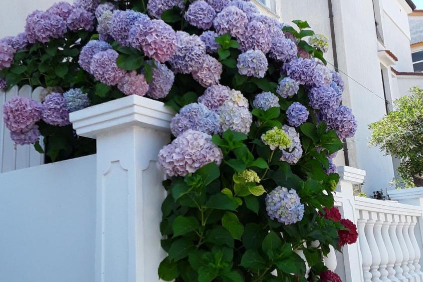 Meri 5 Villa - foto 18