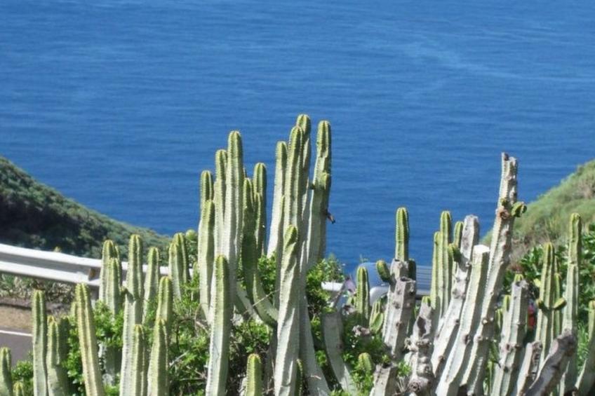 Anspruchsvolle Ferienvilla mit Panoramablick - foto 41
