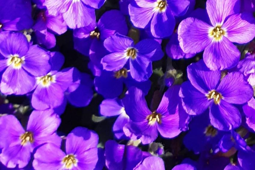 Finca "Motje" mit Aussicht - foto 25