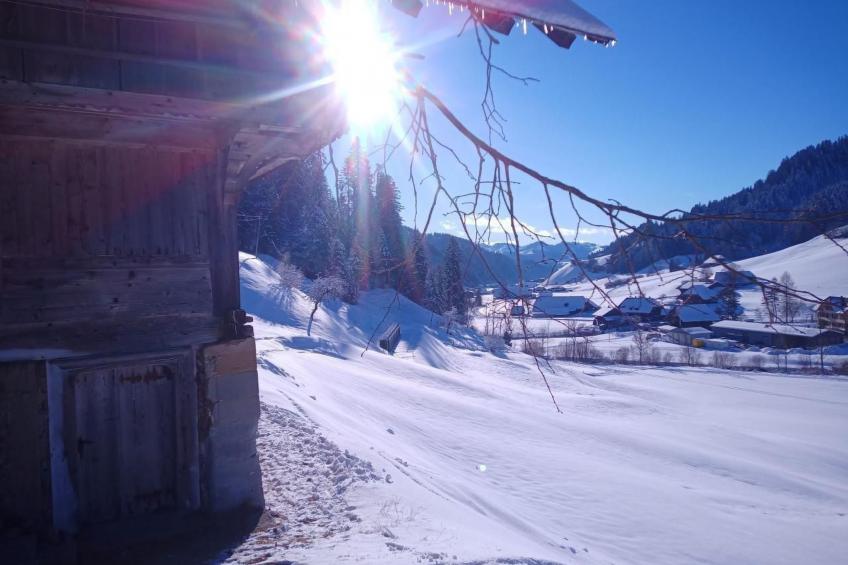 Antikes Ferienhaus - foto 27