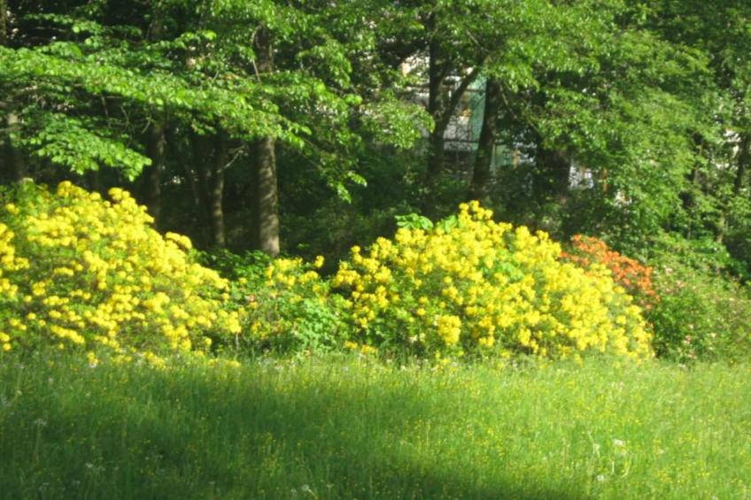 Bad Elster - foto 30