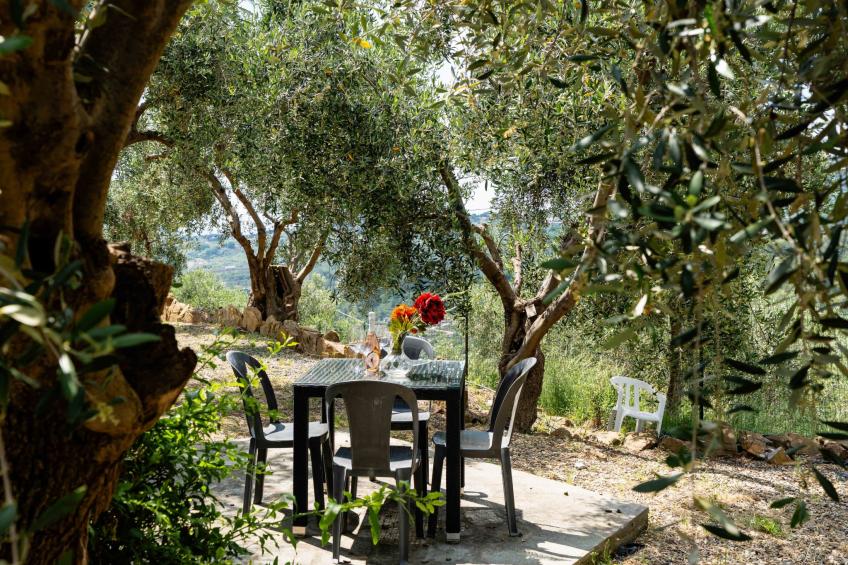 Olive Lodge - foto 35