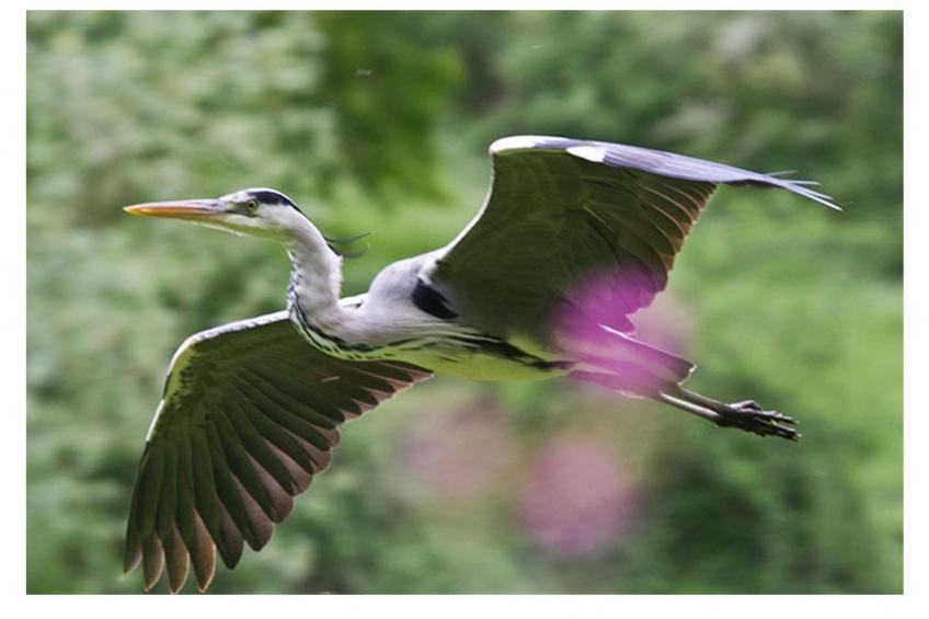 Großes Ferienhaus mit Terrasse und Garten - foto 23