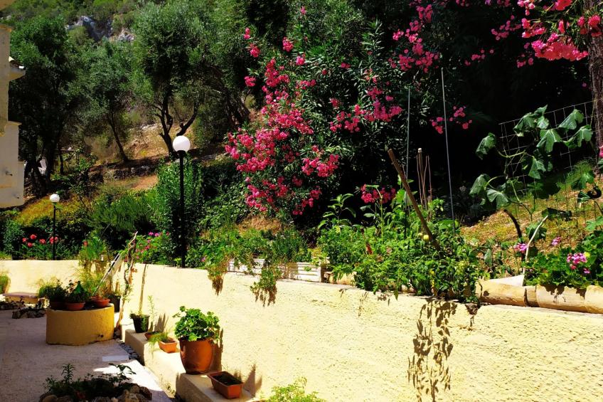 Fantastischer Meerblick - foto 13