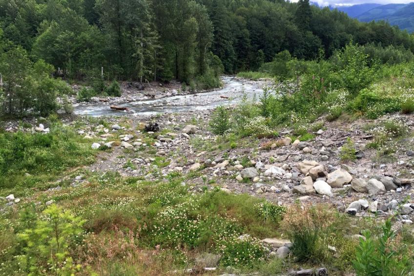 Hütte 15 mit Whirlpool, Wi-Fi, Haustiere erlaubt und AC - foto 25