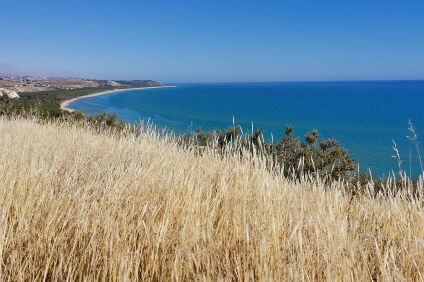 Wohnung 4 - Studio - foto 36