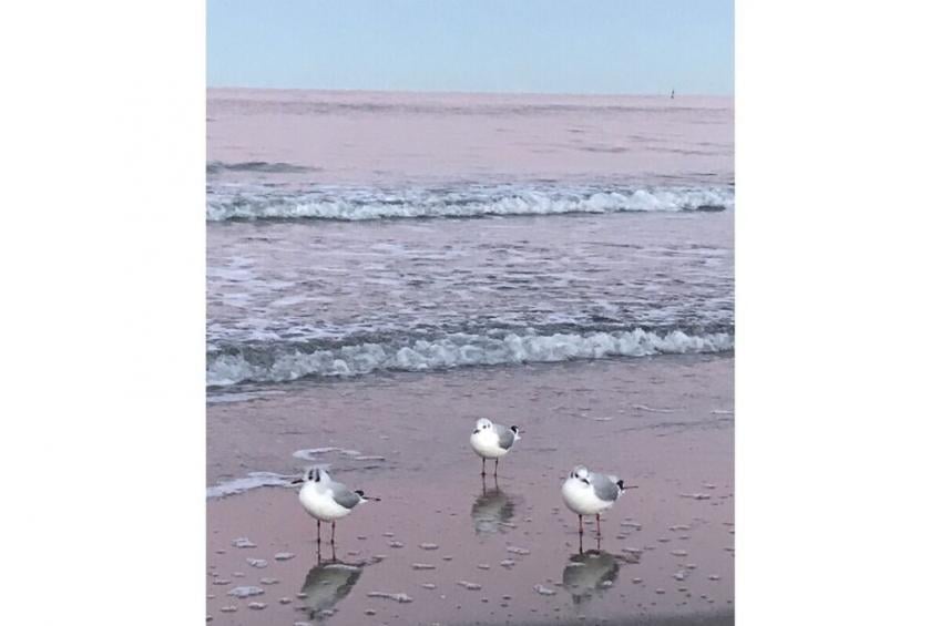 354349 - foto 15