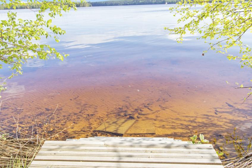 Heinlahti - foto 3
