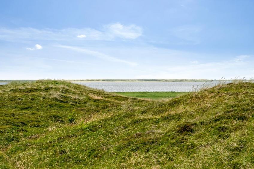 "Leona" - 250m to the inlet in Western Jutland - foto 8