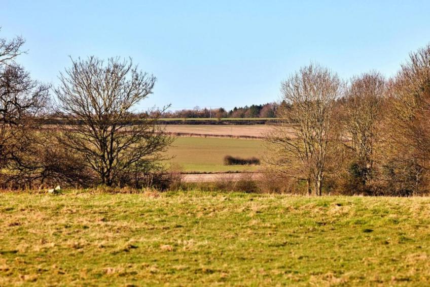 Wisteria at the Rookery - foto 38