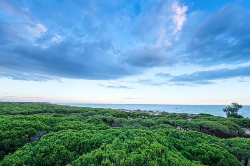 Villa Lili - foto 33