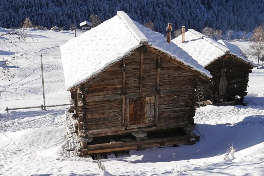 Mayen an Olivier - foto 5