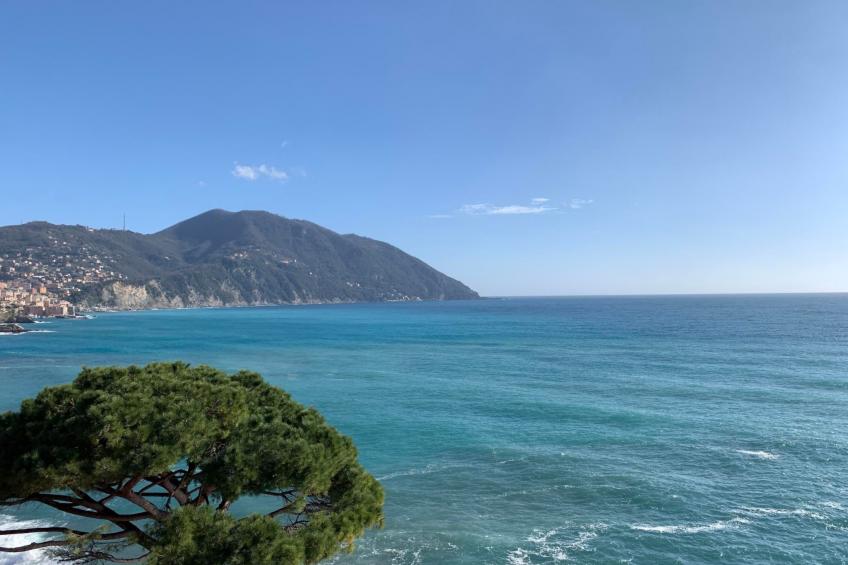 Wohnung 'Villa Giulia' in Strandnähe - foto 3