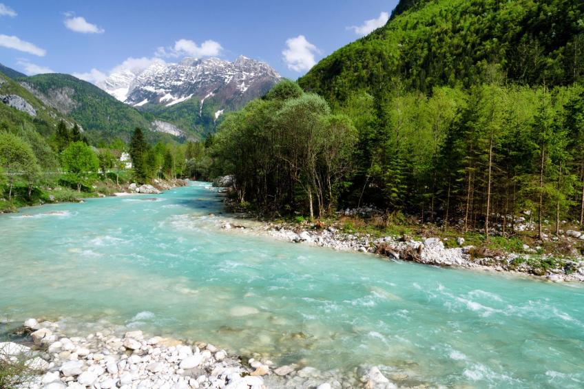 Enchanted Cosy Chalet Kalanka - foto 32