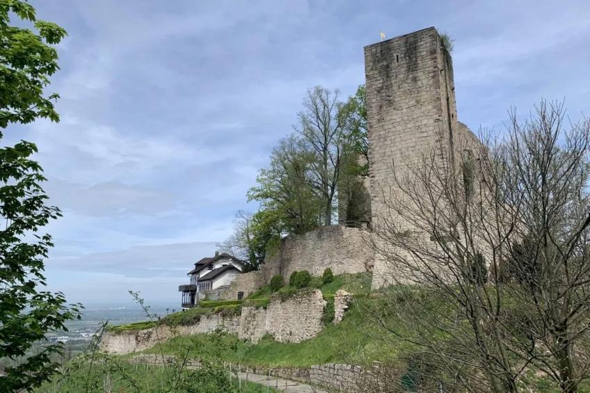 Eifel-Finca mit Whirlpool und Gartenlounge - foto 39