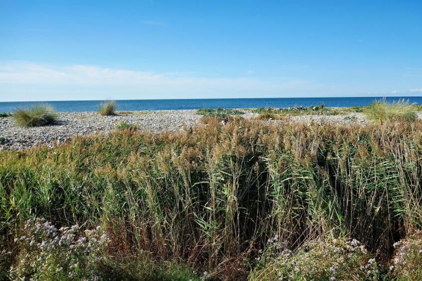 Inselresort Thor Heyerdahl - foto 19