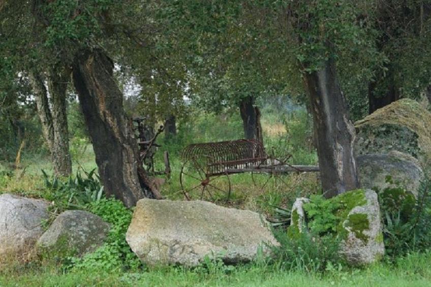 Ferienhaus - foto 10