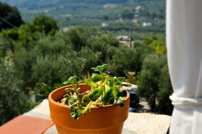 Zwei-Zimmer-Penthouse-Wohnung mit Terrasse mit Meerblick - foto 37