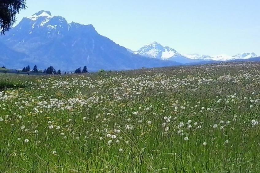 Chalet mit Blick auf das Wasser - foto 17