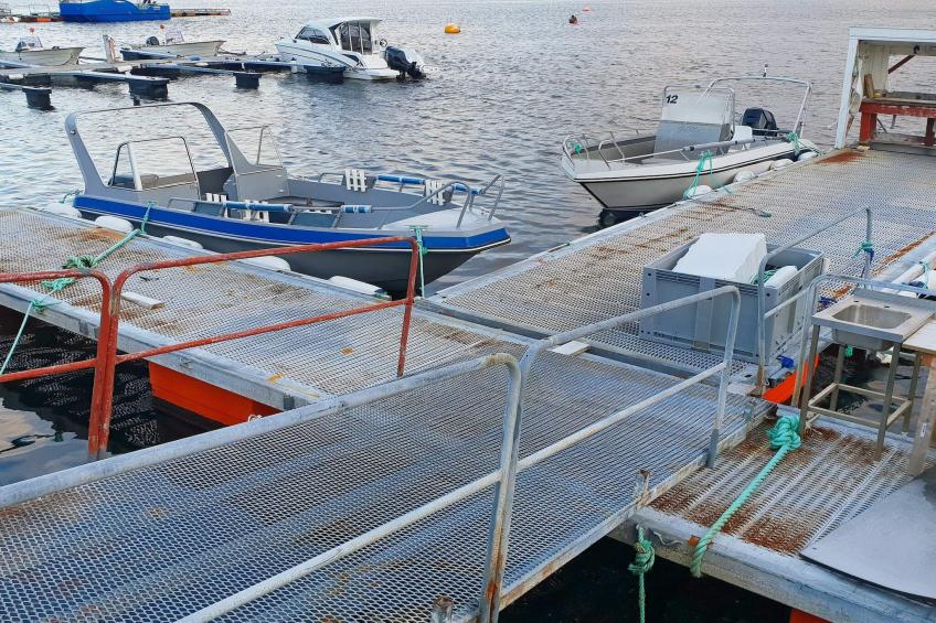 RORBU 2 - foto 33