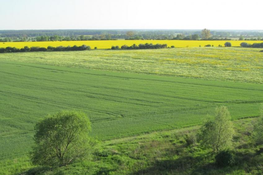 - Uns lütt Hüsung - foto 13