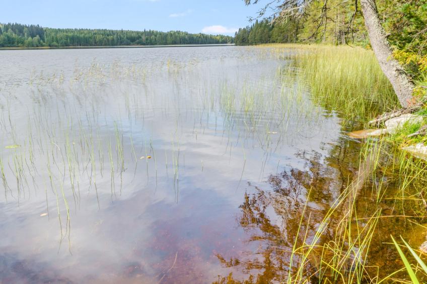 Kuikkaranta - foto 21