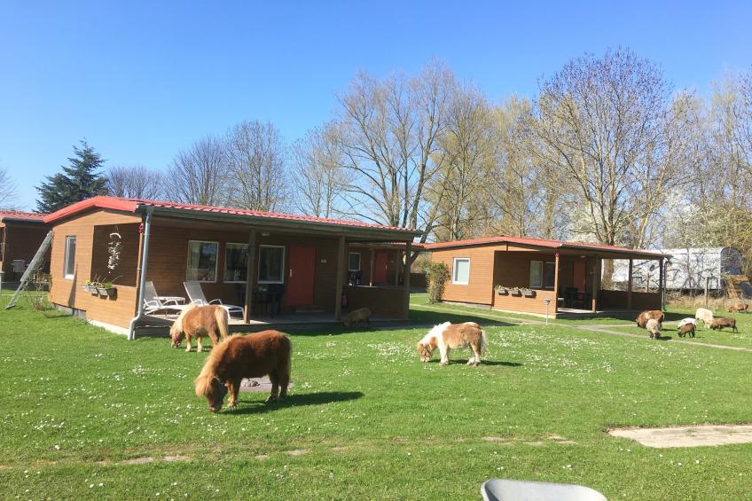 Haus 12 - foto 35