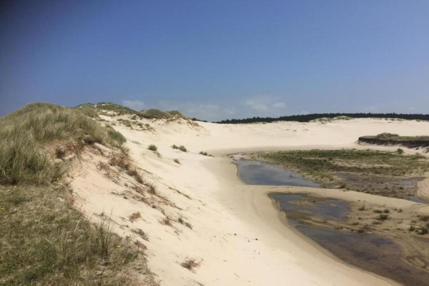 De Schone Leij - foto 19