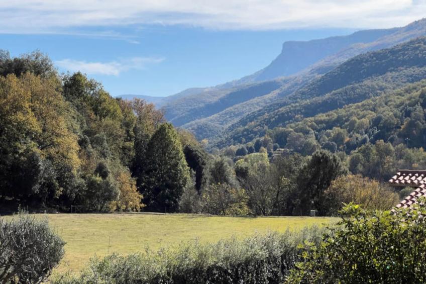Maison à Sant Feliu de Pallerols - foto 30