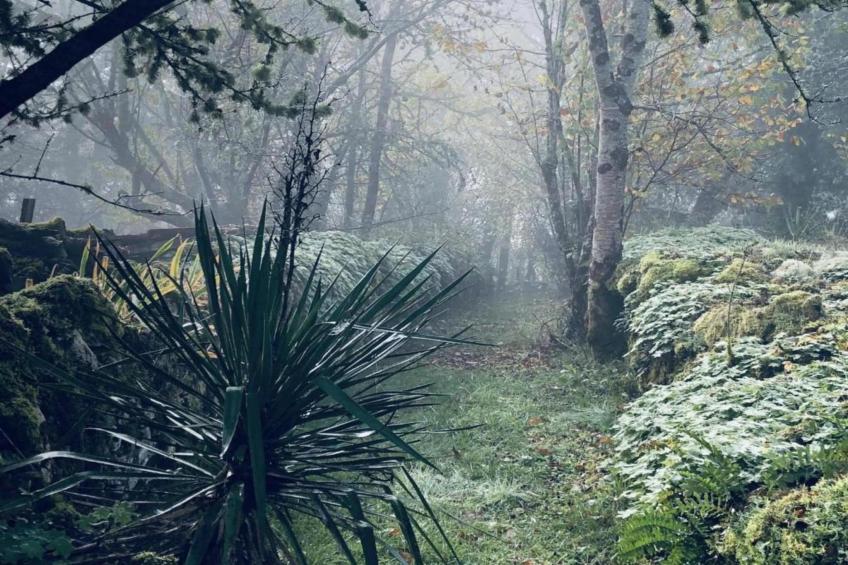 Maison de vacances - BESSE 4 pers - foto 32