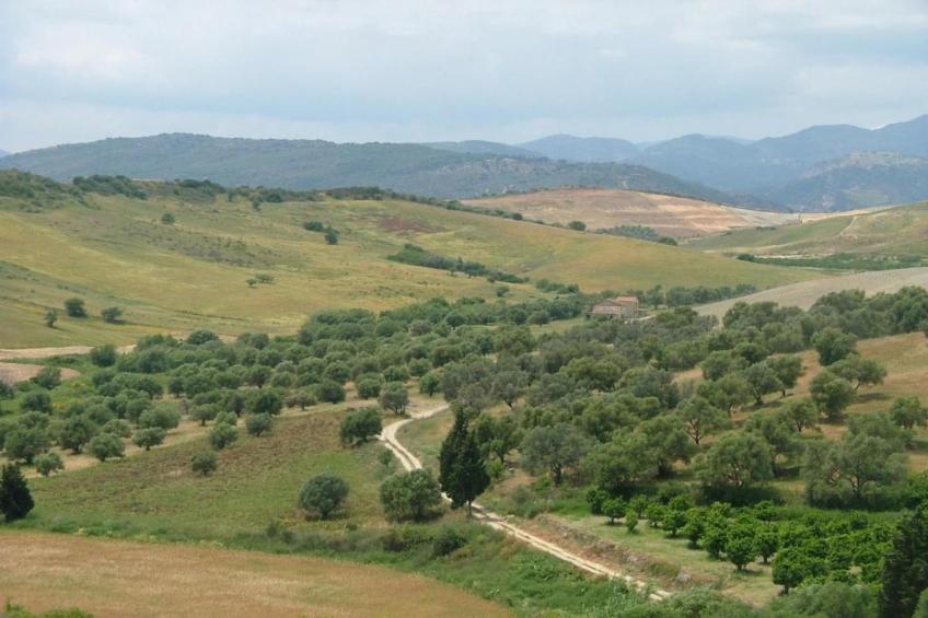 Casa Donna Vittoria - foto 40