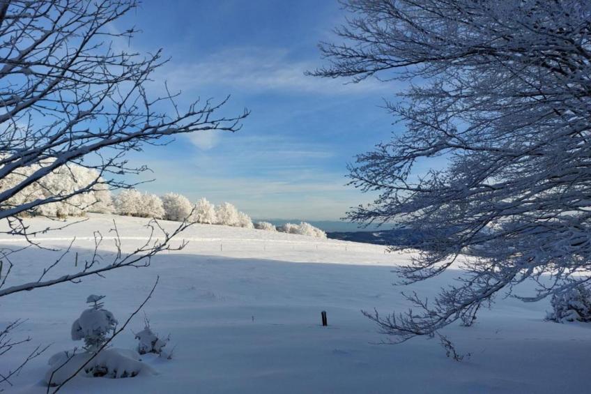 Domaine Des Messires 2 - foto 38