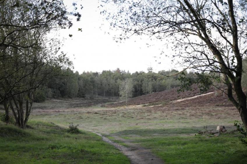 Vlindervallei Villa 8p - foto 27