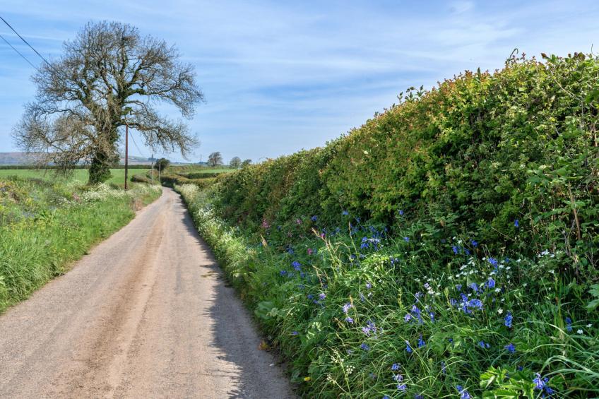 Cutkieve Farm Cottage - foto 29