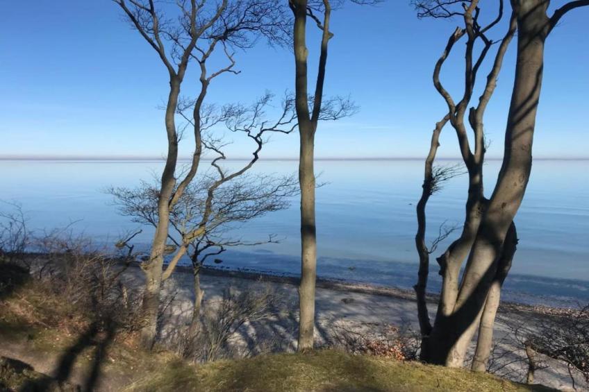 Ostseewind - foto 29