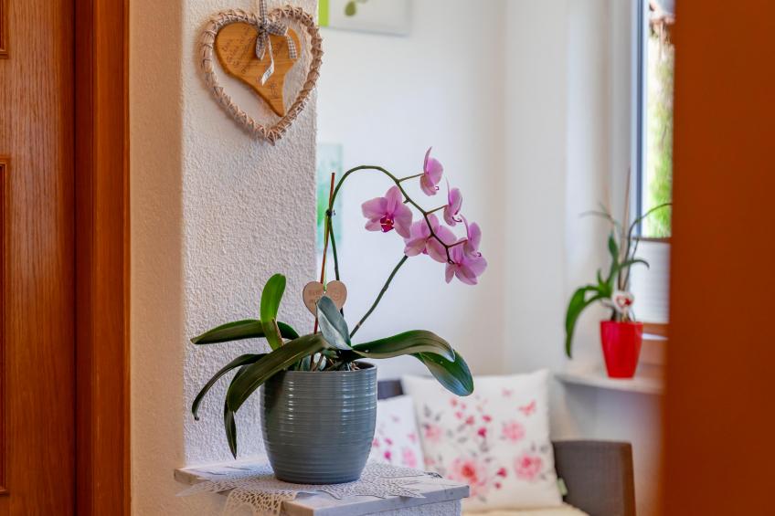 Sonnenschein I - foto 20