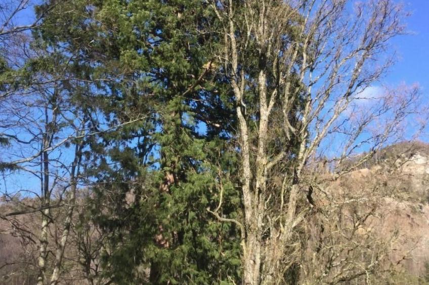 Hof unterer Dürrenberg / Langenbruck - foto 13