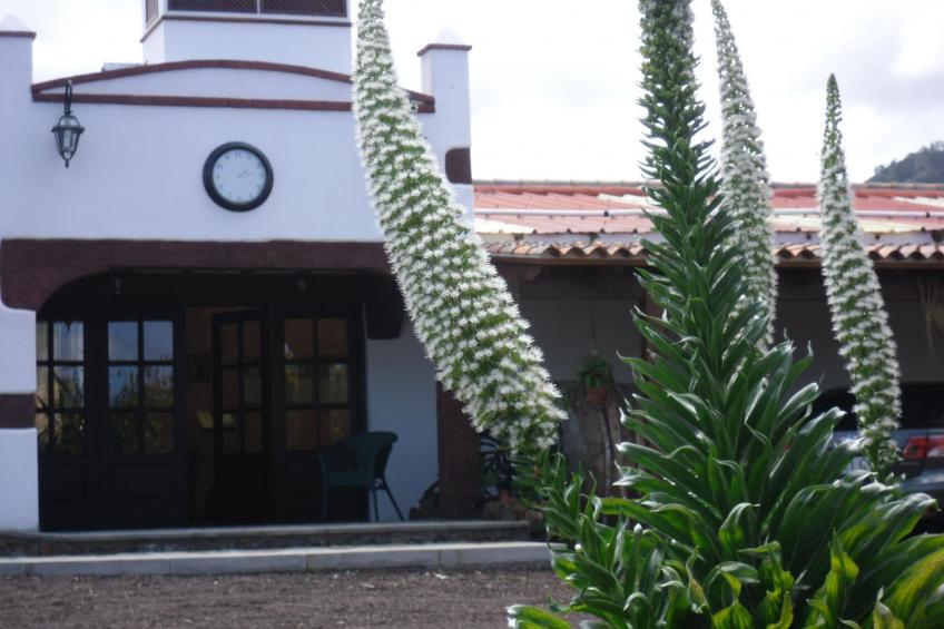 Romantisches Landhaus mit Pool - foto 41